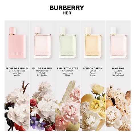 burberry her elixir coffret|burberry her perfume for women.